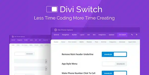 Divi Switch