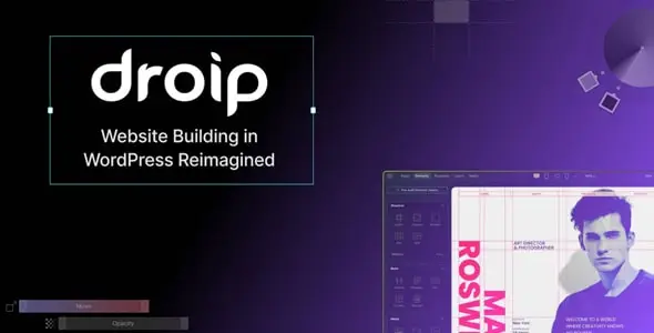 Droip - No-Code WordPress Website Builder