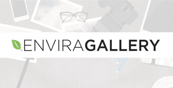 Envira Gallery Defaults Addon