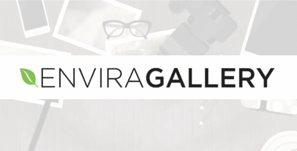 Envira Gallery Fullscreen Addon