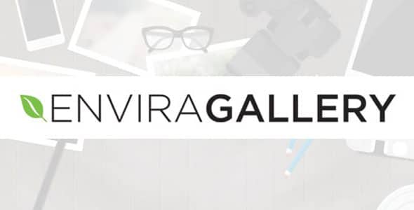 Envira Gallery Protection Addon