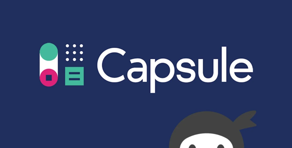 Ninja Forms Capsule CRM