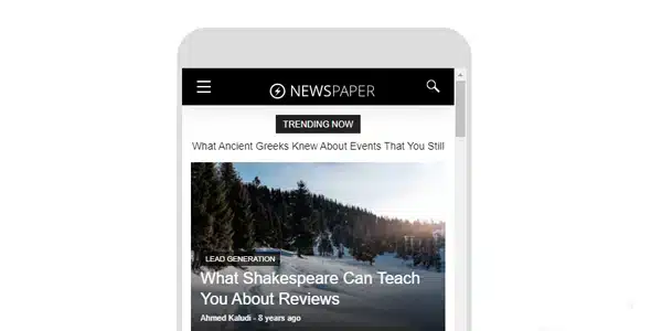 Newspaper Theme for AMP